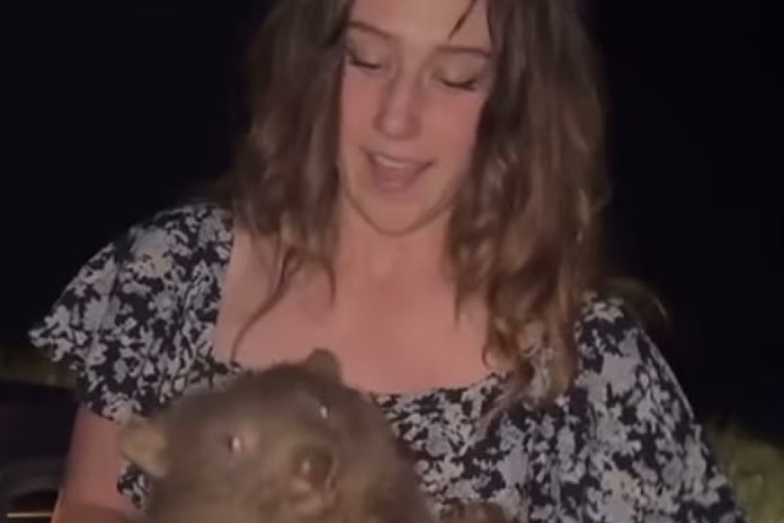 https://www.iefimerida.gr/sites/default/files/styles/medium_article_image/public/2025-03/afstralia-wombat1.jpg?itok=bOy6gOES