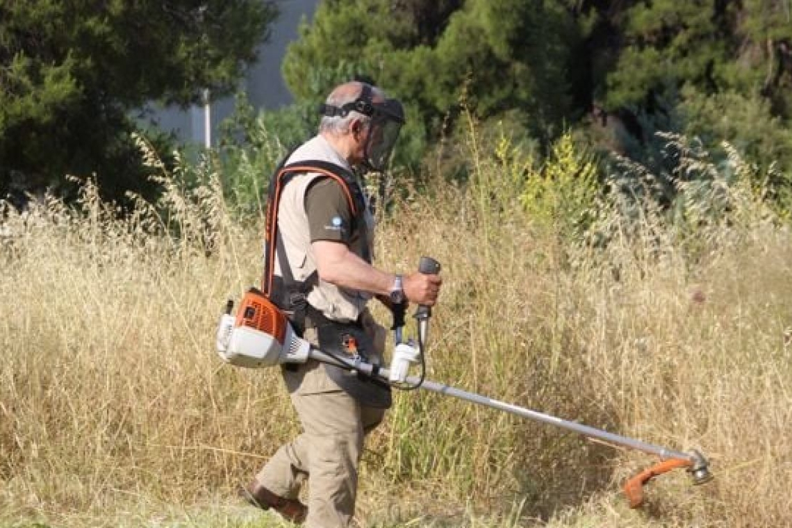 https://www.iefimerida.gr/sites/default/files/styles/medium_article_image/public/2025-04/xlorokoktiko-akatharista-oikopeda.jpg?itok=VWpw8zkz