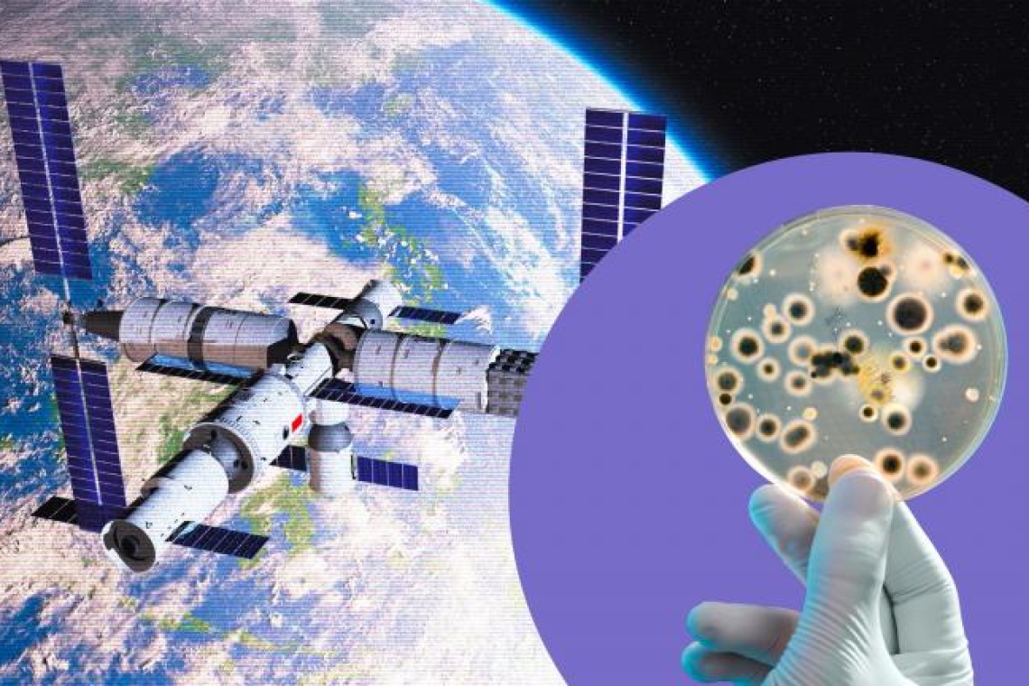https://www.real.gr/wp-content/uploads/2025/05/Chinese_Tiangong_Space_Station_Bacteria.webp