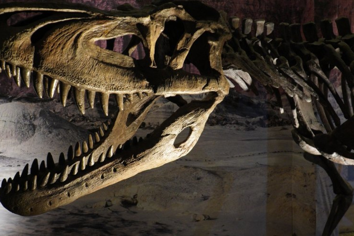 https://www.newsit.gr/wp-content/uploads/2025/06/dinosaur-11062025-1200x630.jpg