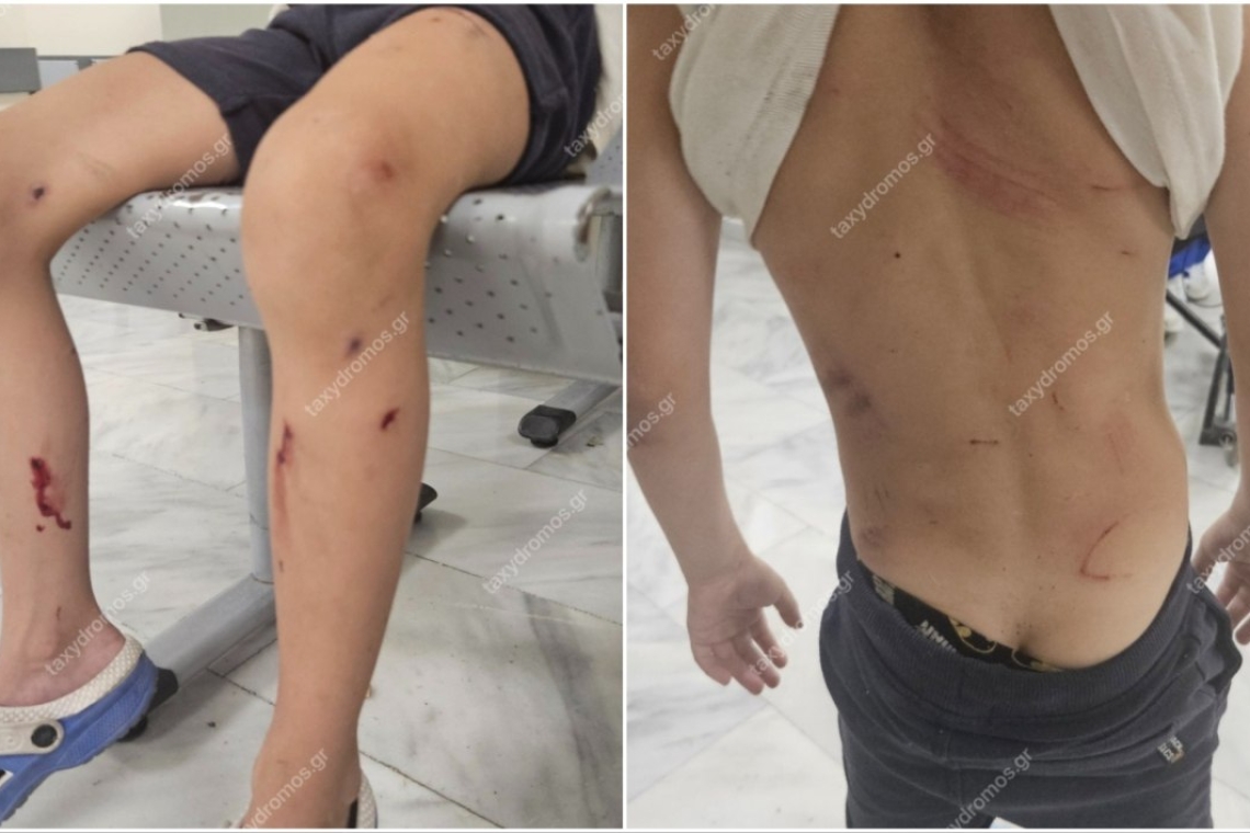 https://www.parapolitika.gr/images/640x360/jpg/files/2025-06-28/volos-adespota.jpg
