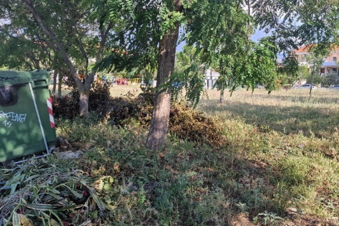 https://www.parapolitika.gr/images/640x360/jpg/files/2025-07-05/akatharista-oikopeda-elegxoi.jpg