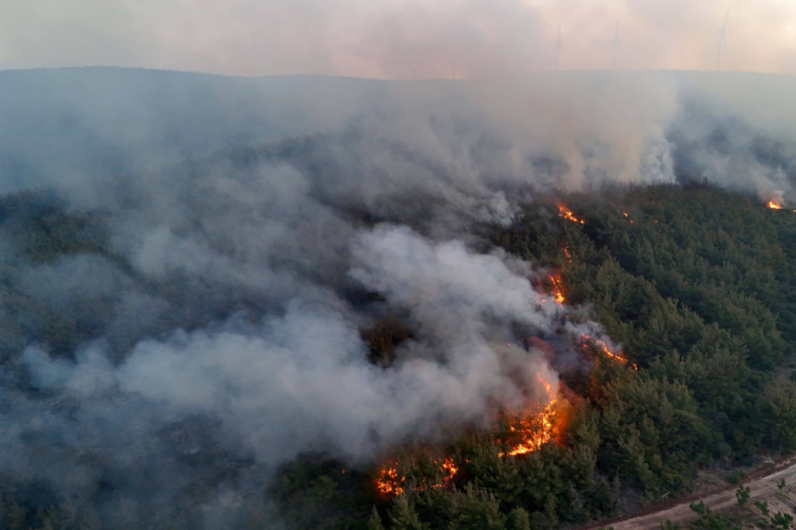 https://www.enikos.gr/wp-content/uploads/2025/07/LESVOS-KAPNOI.jpg