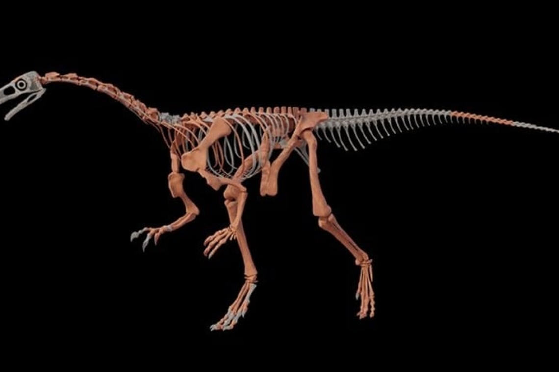 https://www.newsit.gr/wp-content/uploads/2025/10/dinosauros-apempe-1200x630.jpg