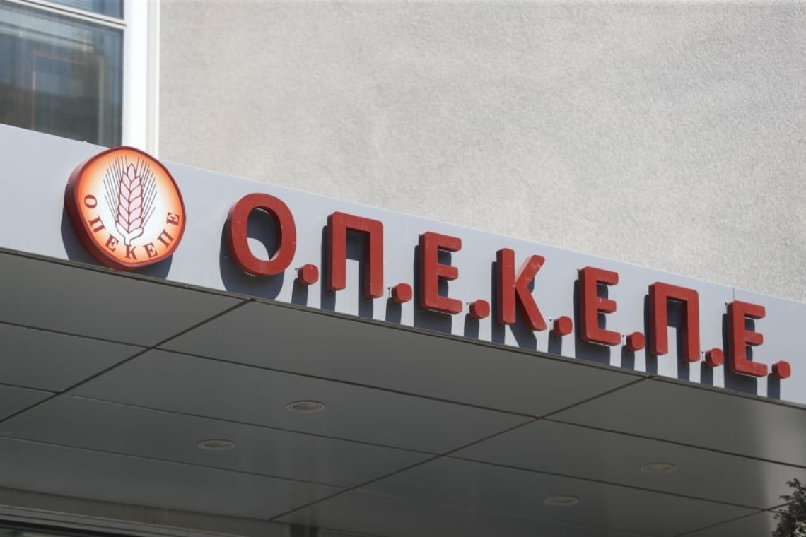 https://www.real.gr/wp-content/uploads/2025/11/4916007-1200x800.jpg