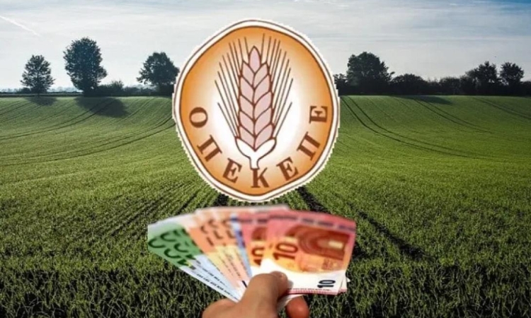 ΟΠΕΚΕΠΕ: 2000 ύποπτα ΑΦΜ για παράνομες επιδοτήσεις