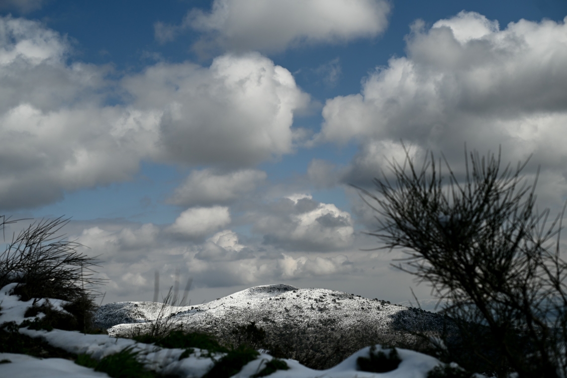 https://www.in.gr/wp-content/uploads/2026/01/17479103-620x350.jpg