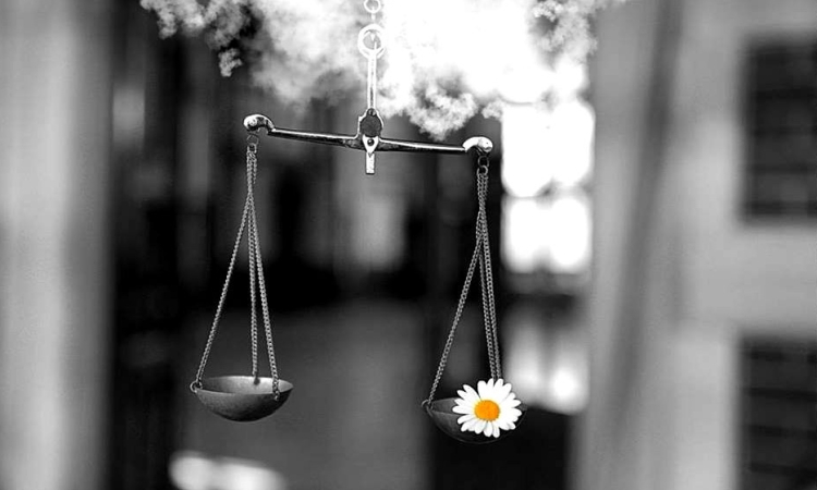Η ψευδαίσθηση ότι περισσότερες επιλογές σημαίνουν πάντα καλύτερες αποφάσεις