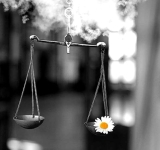 Η ψευδαίσθηση ότι περισσότερες επιλογές σημαίνουν πάντα καλύτερες αποφάσεις